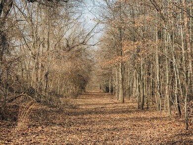 0 Bridges Ave unit 11609195, Glendora, MS 38928 - photo 5
