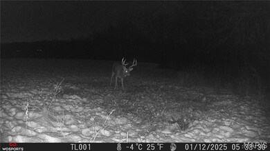 242 Gerding Rd, Hawk Point, MO 63349 - photo 2