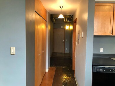 488 Wabasha St N unit 201, Saint Paul, MN 55102 - photo 2