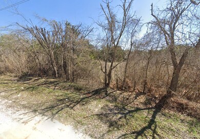 39172 Shadow Ridge Dr unit Whitney TX 76692, Whitney, TX 76692 - photo 3