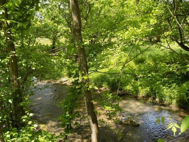CRREK AT BACK OF PROPERTY