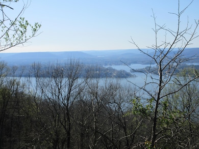 0 Scenic Dr unit 19785816, Section, AL 35771 - photo 2