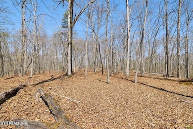 1300 Old Sugar Limb Rd, Loudon, TN 37774 - photo 4