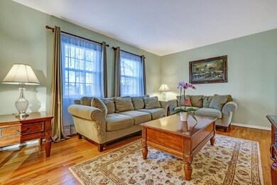 Living Room windows