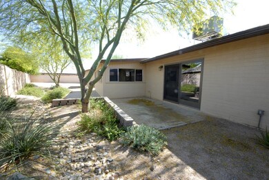 Back yard