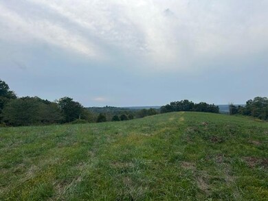 4 Salem Ridge Rd, Aurora, IN 47001 - photo 5