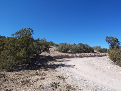 6 Caballo Palido, Placitas, NM 87043 - photo 7