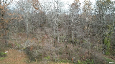 208 Dewmaine Ln, Carterville, IL 62918 - photo 4