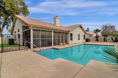 Backyard/Pool