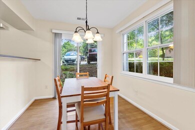 460 Charles St, Blacksburg, VA 24060 - photo 6