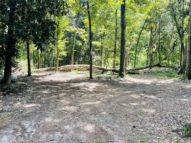 1169 Old Bumpy Rd, Capitola, FL 32317 - photo 3