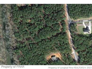 0 Nassau Lot 17 Trail unit 471067, Pittsboro, NC 27312 - photo 3