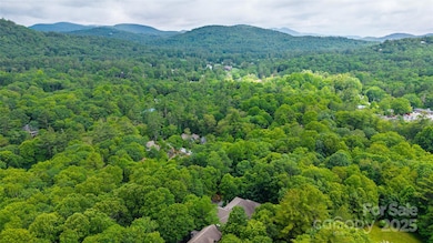 79 & 80 S Shelby Cir unit 79 & 80, Highlands, NC 28741 - photo 3