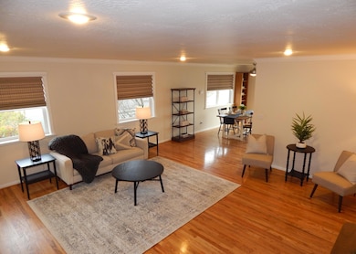 Large Living room