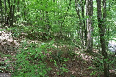 0 Parksbrook Road A unit 10302393, Ellijay, GA 30143 - photo 2