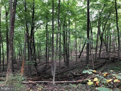 LOT 26D Cove Run Acres Dr, Mathias, WV 26812 - photo 3