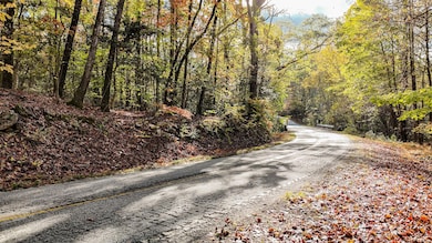 888 Old Hundred Rd, Pelzer, SC 29669 - photo 3