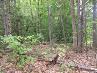 236 E Old Alfred Rd, Hollis Center, ME 04042 - photo 6