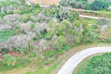 173 Carousel Ave, Fort Denaud, FL 33935 - photo 6