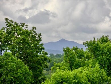 HOME IN THE TREETOPS