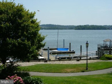 18 Wolfe St unit 55, Alexandria, VA 22314 - photo 3