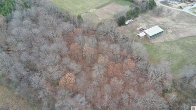 00 Beyer Ln, Lone Oak, KY 42001 - photo 5