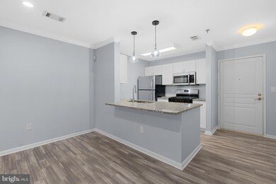 5575 Seminary Rd unit 315, Falls Church, VA 22041 - photo 2