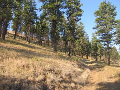 0 N Fork 40 unit 21, John Day, OR 97845 - photo 4