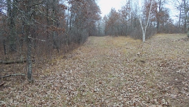 Lot 4 300th St, Sterling Township, WI 54024 - photo 4