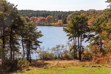 21 Ice Pond Ln, Oak Bluffs, MA 02568 - photo 4