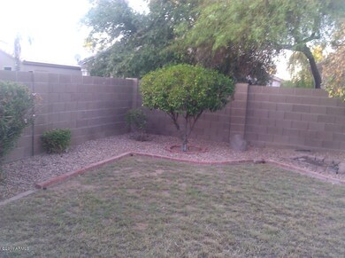 Large backyard