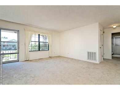 Living Room. Large & bright Living Room!