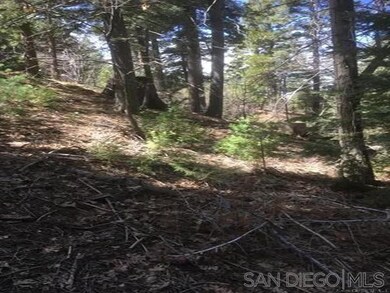 0 State Hwy 173 State Hwy unit 205, Lake Arrowhead, CA 92352 - photo 4