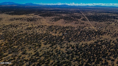 dji_fly_20250117_150626_0998_17372201687