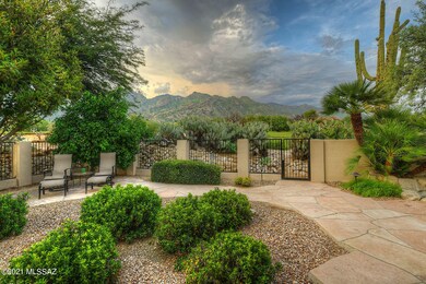 Back Patio