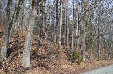 000 Deer Run unit Map 1, Lot 359 J, Henniker, NH 03242 - photo 7