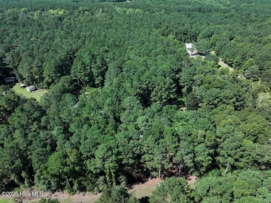 1601 Black River Ln, Harrells, NC 28444 - photo 4