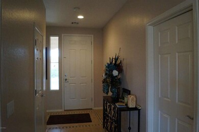 Neutral Paint