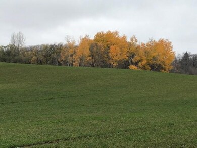 XXX Loken Ln SW, Alexandria, MN 56308 - photo 2