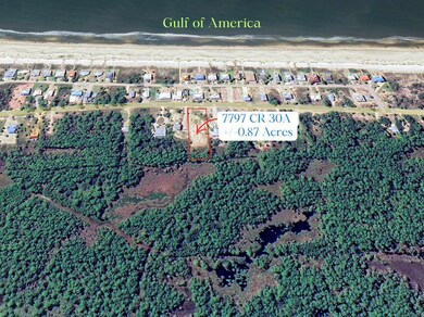 7797 County Road 30a, Port St. Joe, FL 32456 - photo 5