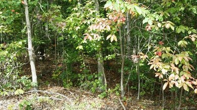 Lot 187 Tennessee Tr., Lincolnton