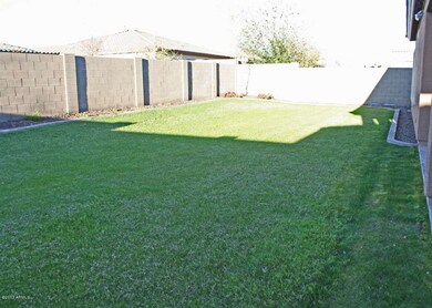 11-backyard