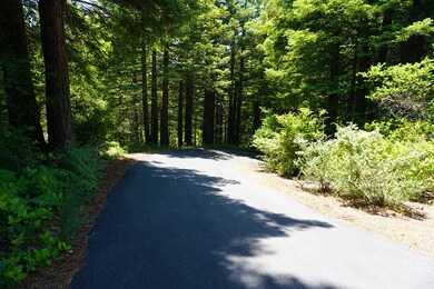 IMG05571