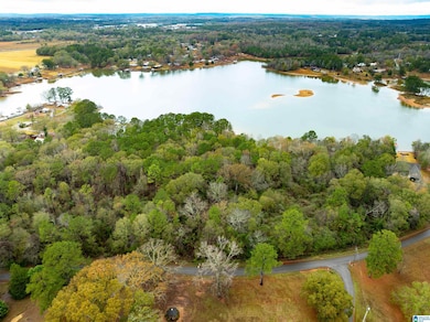 0 Annesley Dr unit 21438186, Pell City, AL 35128 - photo 4