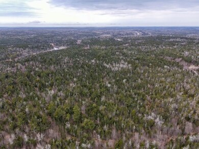 DJI_0924