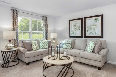 *Model Photo for reference*