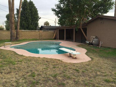 Nice Backyard