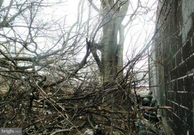 1417 N Milton Ave, Baltimore, MD 21213 - photo 5