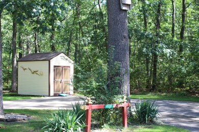 Lot 5 (1)