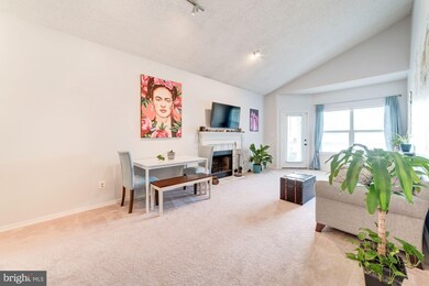 4404 Helmsford Ln unit 203, Fairfax, VA 22033 - photo 5